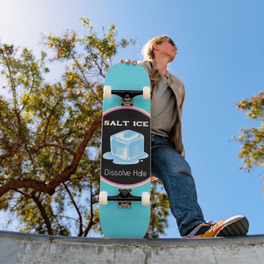 Salt Ice Skateboard スケートボード (室外1)