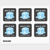 Salt Ice Sticker スクエアシール (シート)