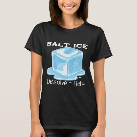 Salt Ice T-Shirt Tシャツ (正面)