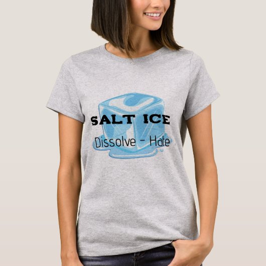 Salt Ice T-Shirt Tシャツ (正面)