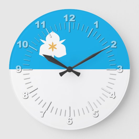 Salt Lake city (Utah) flag Large Clock ラージ壁時計 (正面)