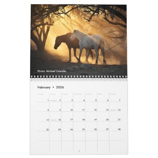 Salt River Truth 2026 Wall Calendar カレンダー (2月 2026)