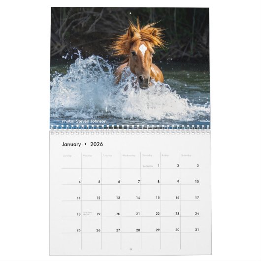 Salt River Truth 2026 Wall Calendar カレンダー (1月 2026)