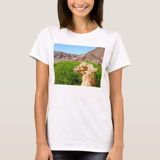 Salta、アルゼンチンの近くのアルパカ Tシャツ (正面)