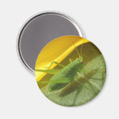 Saltamontes マグネット (正面/裏面)