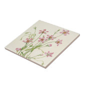 Saltmarsh Rosegentian by Mary Vaux Walcott タイル (側面)