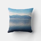 Salton Sea クッション (裏面)