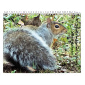 Saltus Fidelisのカレンダーのリス カレンダー (カバー)