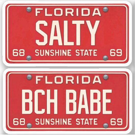 Salty Beach Babe | Retro Florida License Plate 2pc シール (正面)
