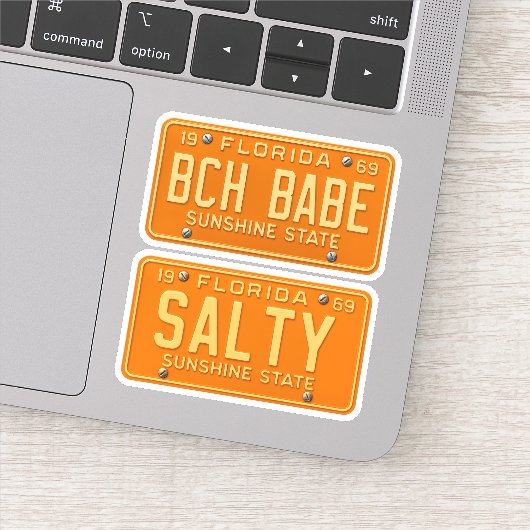 Salty Beach Babe - Retro Florida License Plate 2pc シール (詳細)