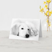 Salukiの挨拶状 カード (黄色い花)