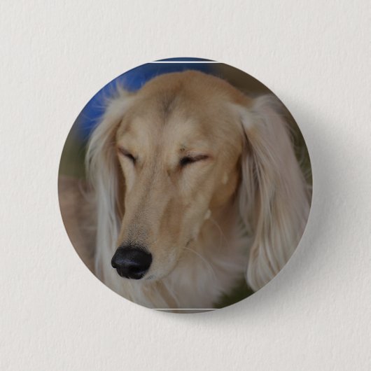 Saluki眠い犬 缶バッジ (正面)