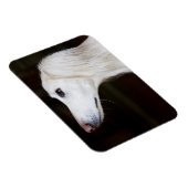 Saluki見上げる マグネット (右側)