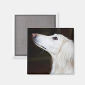 Saluki見上げる マグネット (正面/裏面)