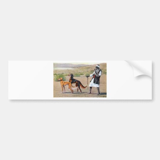 saluki バンパーステッカー (正面)