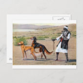 saluki ポストカード (正面/裏面)