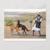 saluki ポストカード (正面)