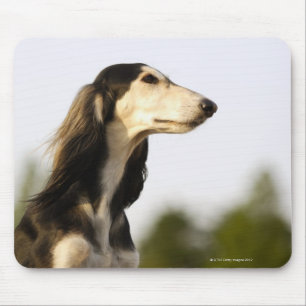 Saluki マウスパッド
