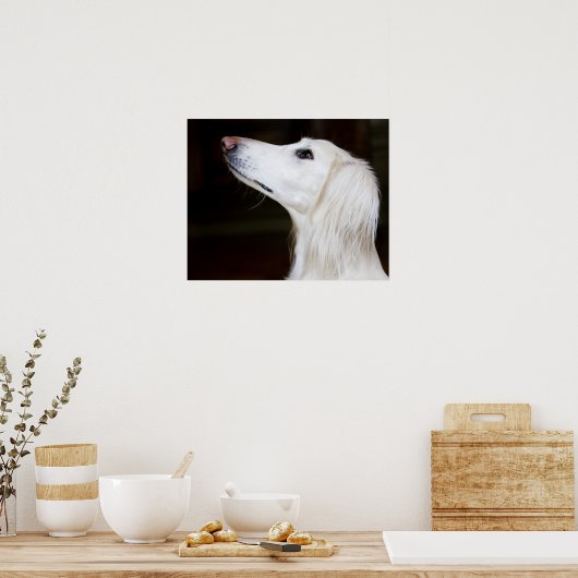 Saluki Looking Up ポスター (キッチン)