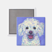 "Sam" - Poodle Mix Magnet マグネット (正面/裏面)