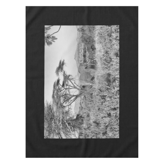 Samburuの象 テーブルクロス (正面)