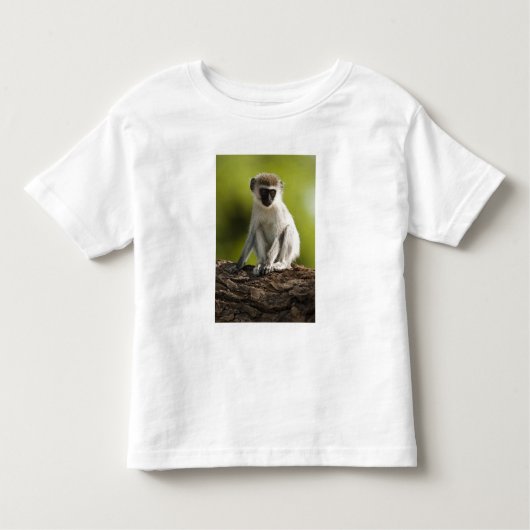 Samburu Game Reserve, Kenya, Vervet Monkey, トドラーTシャツ (正面)
