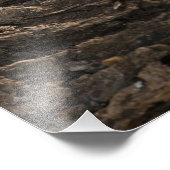 Samburu Game Reserve, Kenya, Vervet Monkey, フォトプリント (角)