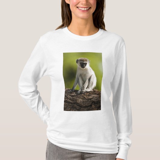 Samburu Game Reserve, Kenya, Vervet Monkey, Tシャツ (正面)