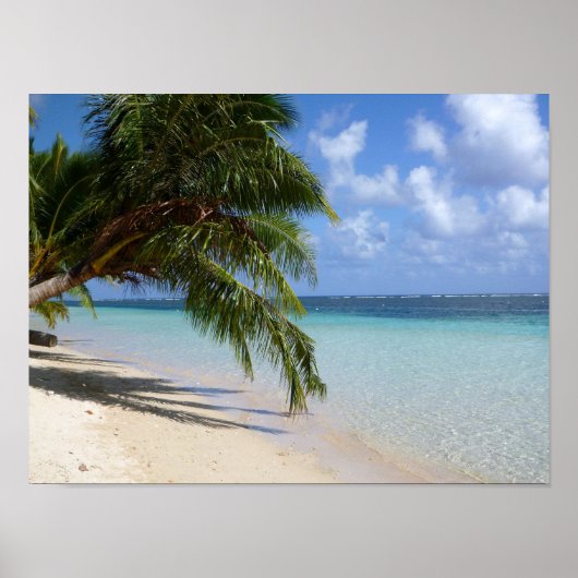 Samoa ポスター (正面)