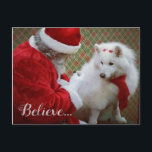 SamoyedとSanta Christmasはがき 案内ポストカード<br><div class="desc">このカードには、私のペットであるサモエド、ジュリエットが癌の放射線トリートメントを完了してから1か月後にサンタに会う様子が記されている。私は彼女の医療費を支援するために私の仕事を販売し始め、追加の収入は彼らのペットの救済医療費で他の人に寄付される。</div>
