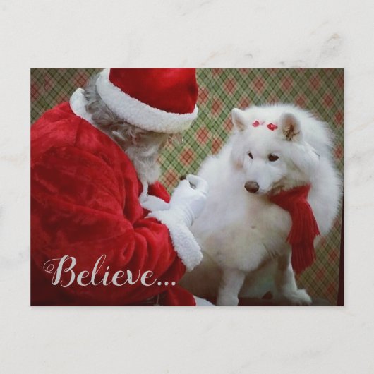 SamoyedとSanta Christmasはがき 案内ポストカード (正面)