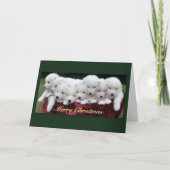Samoyedのクリスマス シーズンカード (正面)
