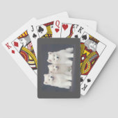 Samoyedのトランプ トランプ (裏面)