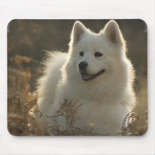 Samoyedのマウスパッド マウスパッド (正面)