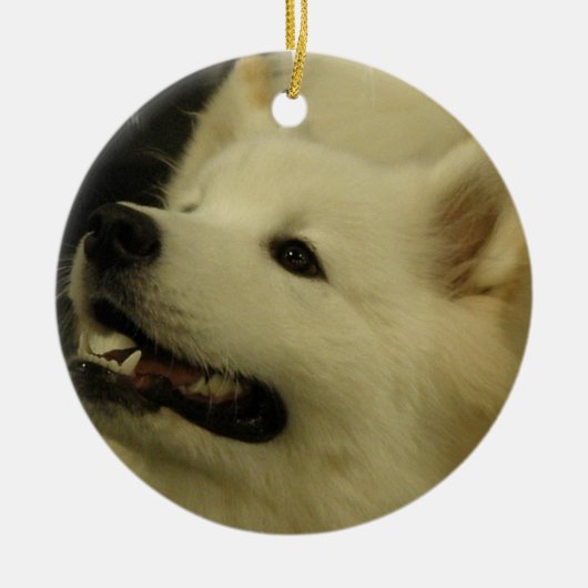 Samoyedの子犬のオーナメント セラミックオーナメント (正面)