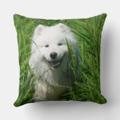 Samoyedの装飾用クッション クッション (裏面)