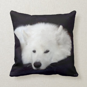 Samoyedの装飾用クッション: 材料、色の選択… クッション