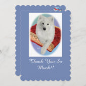 Samoyedポートレート、スキャロップフラットグリーティングカード サンキューカード (正面/裏面)