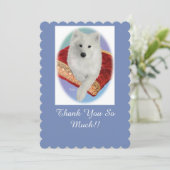 Samoyedポートレート、スキャロップフラットグリーティングカード サンキューカード (スタンド正面)