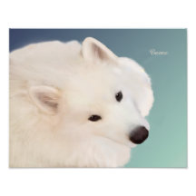 Samoyedポートレート;14インチx 11インチ、Prof.Photo紙サテン