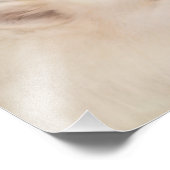 Samoyedポートレート;14インチx 11インチ、Prof.Photo紙サテン フォトプリント (角)