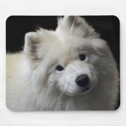 Samoyed犬のマウスパッド マウスパッド (正面)