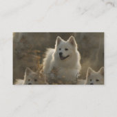 Samoyed犬の品種名刺 名刺 (裏面)