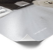 Samoyed 11インチx 8.5インチ、Kodak Pro。フォト紙(サテン) フォトプリント (角)