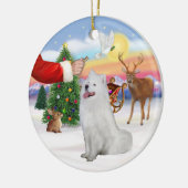 Samoyed (#1)に対する治療 セラミックオーナメント (左)