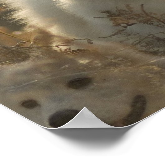 Samoyed Dog Bridポスター ポスター (角)