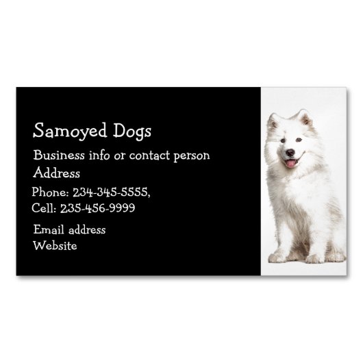 Samoyed DogsブリーダーPETシッターの名刺 マグネット名刺 (正面)