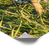 Sample Image. ポスター (角)