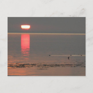 Samsøの島のデンマークの写真コレット2009年7月 ポストカード