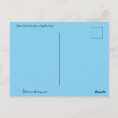 San Clementeのビーチの郵便はがき ポストカード (裏面)